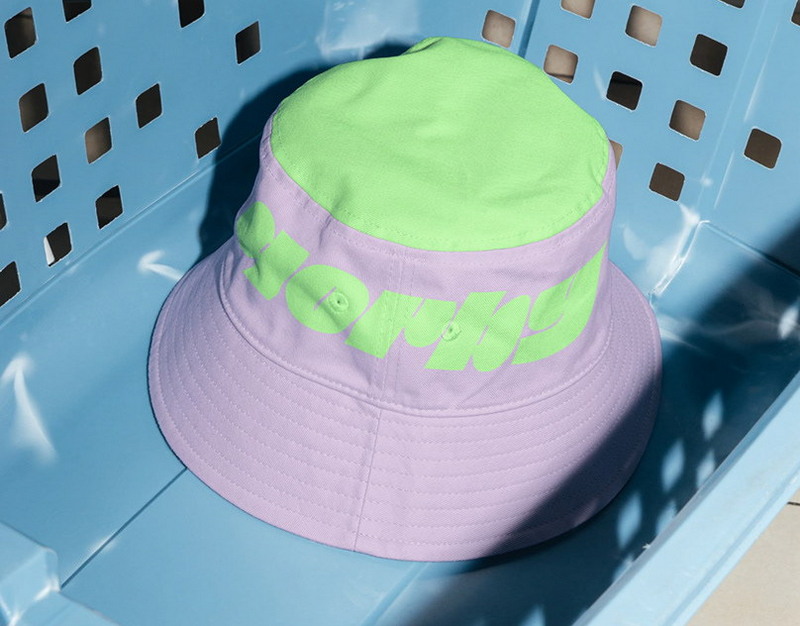 Катастрофа Чибиса